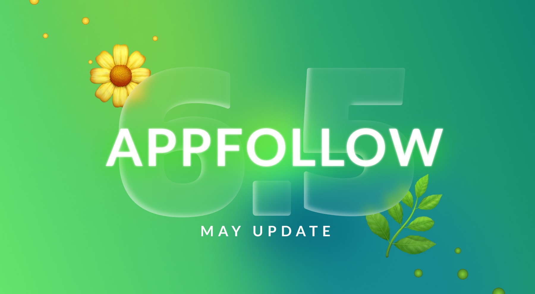 6.5: May product update